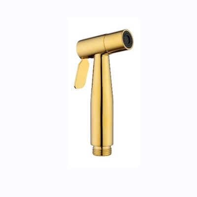 Plastic 304 Stainless Steel Bathroom Bidet Toilet Shower Head